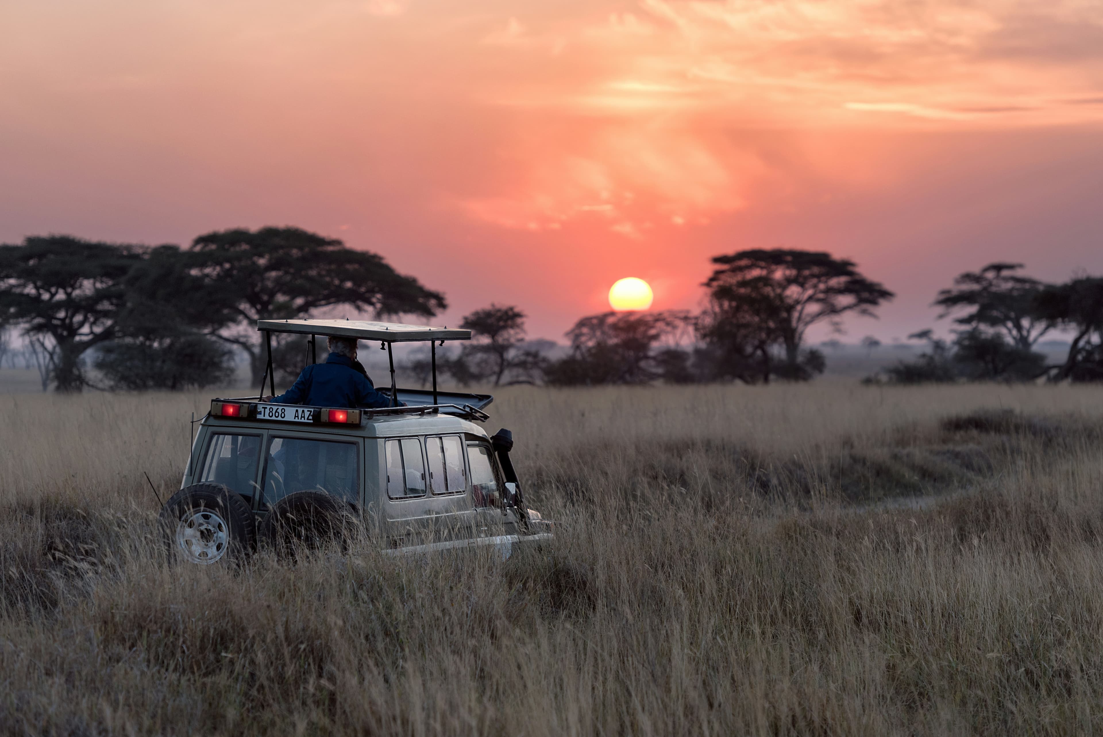 Serengeti National Park, Tanzania